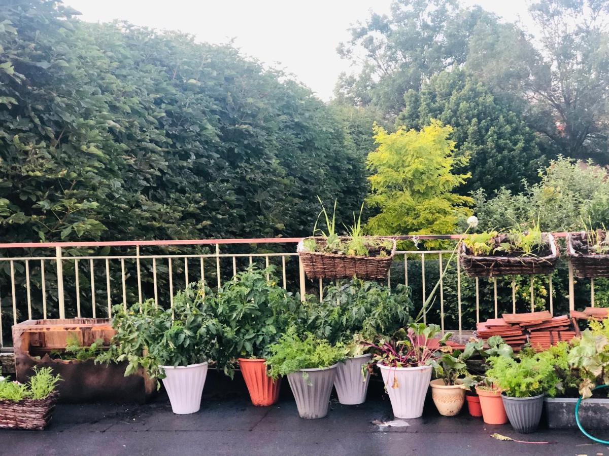 Dach - Cozy 3 Bed In Hendon